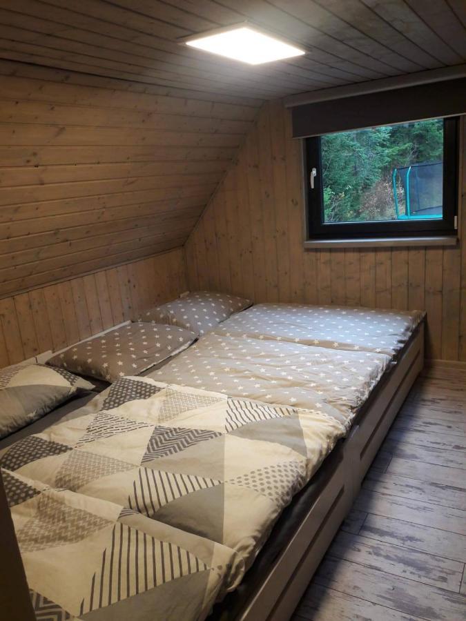Chata 100 Český Jiřetín Buitenkant foto